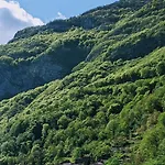 Museo * Ospitale di Cadore