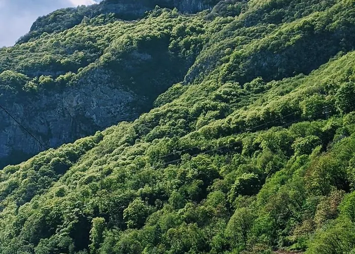 Museo * Ospitale di Cadore